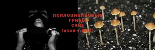 дурь Алексин
