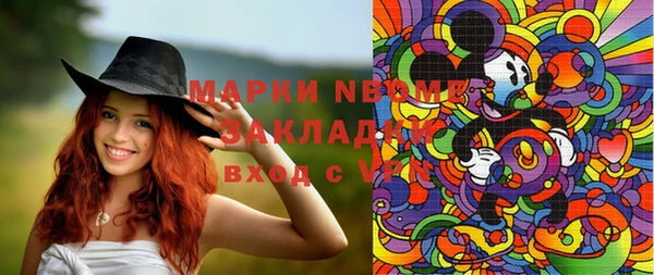 дурь Алексин
